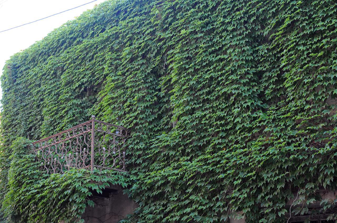 Old Walls 1 Tbilisi Exterior photo
